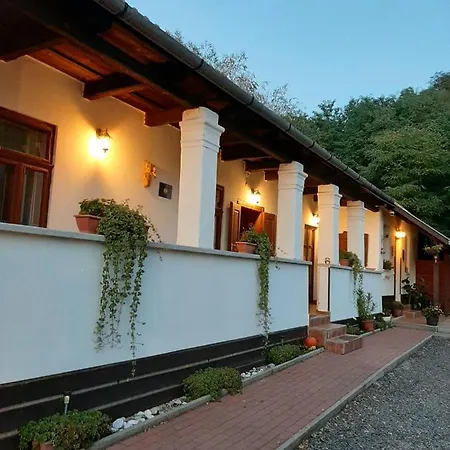Bodza Vendeghaz - Apartmanhaz *