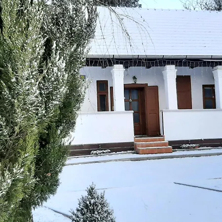 Bodza Vendeghaz - Apartmanhaz *