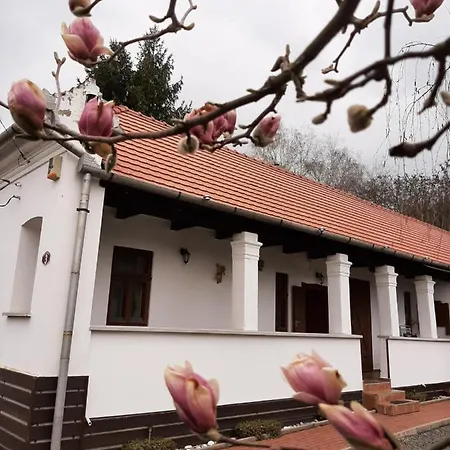 Apartmán Bodza Vendeghaz - Apartmanhaz *
