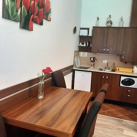 Bodza Vendeghaz - Apartmanhaz Apartment *